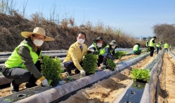 농협경제연구소, 충북 음성군 농촌현장에서 일손돕기 팔걷어
