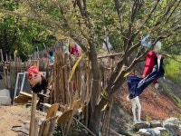 목 잘린 몸통·피 묻은 옷…강남 대모산 등산로에 등장한 마네킹 40개 무슨 일?