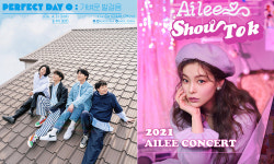 랜선 콘서트·온라인 소통… 설레는 팬들과의 만남