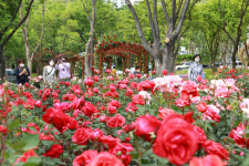 테마형 공원으로 거듭난 대구 서구 그린웨이