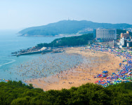 인천 해수욕장 먼저 문 여는 곳은… 왕산·을왕리 7월 1일 개장