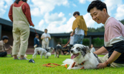반려인 1500만 시대 눈 앞 ‘블루오션’ 기대… 입학 경쟁률 급증 [심층기획-펫 학교·학과 신설 경쟁]