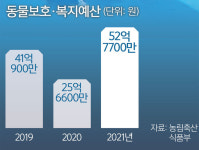 반려동물 수영장·놀이터·호텔까지… ‘동물복지’ 예산 쑥쑥 [심층기획]