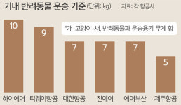 ‘펫팸족’을 잡아라… 반려동물 동반 탑승객 모시기 경쟁 [이슈 속으로]