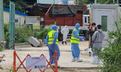 석 달 만에 또… 고성 농장서 ASF 재발