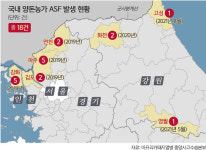 석 달 만에 또… 고성 농장서 ASF 재발