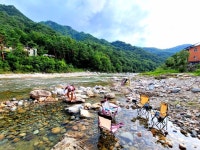 당신을 기다립니다… 요정 속삭이는 인제 자작나무숲으로 [최현태 기자의 여행홀릭]