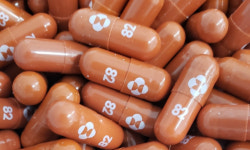 백신처럼 마음 졸이지 않게… 다음은 ‘코로나19 치료제’ 확보전?