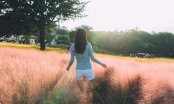 이월드, 도심속 정원 ‘인생꽃 사진관’ 오픈