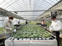 농협중앙회-경기관광공사, “함께하는 농촌봉사활동”