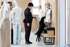 [포토] “최고의 탐지견, 나야 나!”