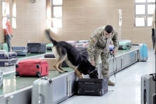 [포토] “최고의 탐지견, 나야 나!”