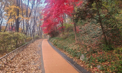 “친환경 코르크길 맨발로 걸어보세요”