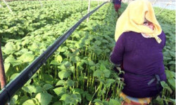 서명한 서류엔 ‘일 소홀히 하면 불법체류자 만들겠다’ 쓰여있었다