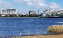“인간·자연 공생해야”… 콘크리트숲 속 ‘기적의 습지’ 만들어 [세계는 지금]