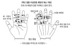 고려수지침학회, 백신 접종 후 부작용 완화 도움 되는 ’손 부위 자극’ 처방 안내