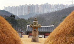 “장릉 앞 조망 해치는 아파트 공사 중단해야” 문화재청 재항고