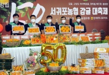 농협유통, 서귀포 농협과 함께 감귤 직거래 행사 개최