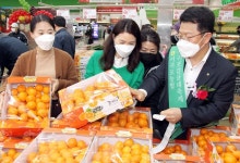 농협유통, 서귀포 농협과 함께 감귤 직거래 행사 개최