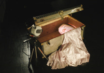 미디어아트 60년, 거장들 작품을 만나다