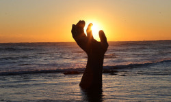 이강덕 포항시장 신년사 포항을 경제·환경·복지 특별시로 만들겠다