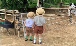 울산으로 떠나는 6차산업형 체험여행 [여행+]