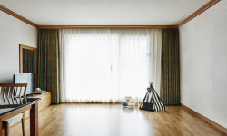 반려동물과 함께하는 여행, 어디로 갈까 [여행+]