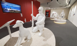 반려동물과 함께하는 여행, 어디로 갈까 [여행+]