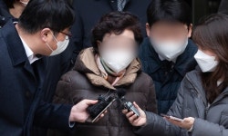 與 “윤석열 장모, 도촌동 토지 차명 취득해 90억대 차익”