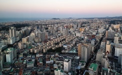 부동산 전문가 51% “2022년 제주 아파트 가격 상승”