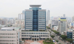 떼까마귀 군무보다 똥 맞으면 쿠폰… 울산, 꿀잼도시 만들기 사업 추진