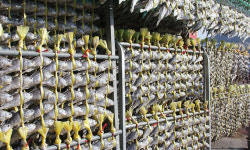 ‘중국산을 영광굴비 둔갑’ 업자 형량 3배 가중