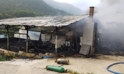 경북 영주 한 돈사서 화재… 돼지 870여 마리 소사