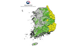 국립산림과학원, 강원 영동·영남지역 대형산불위험 주의보 발령