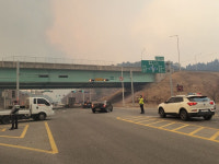 “금강송을 지켜라”… 울진 산불 방화저지선 구축 사투 [밀착취재]