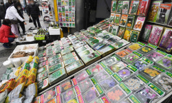 봄을 준비하는 꽃씨들