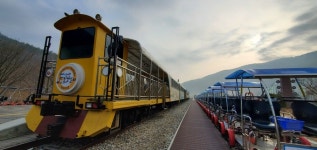 정선 5일장의 봄... 자연과 하나 되는 치유의 숲 [여행+]