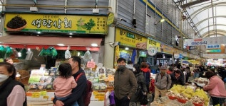 정선 5일장의 봄... 자연과 하나 되는 치유의 숲 [여행+]