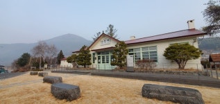 정선 5일장의 봄... 자연과 하나 되는 치유의 숲 [여행+]