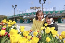 봄꽃 향연·로드 쇼·불빛 축제… 놀이공원의 유혹 [여행+]