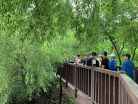 피톤치드 가득 초록숲길 걸어볼까 인생샷 포인트 분홍꽃길 취해볼까 [지방기획]