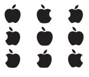 비상한 기억과 어처구니 없는 망각… 도대체 왜?