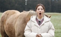 이은주, ‘앤디와 결혼’ 앞두고 말에 습격 “진짜 무서워”...어땠길래?
