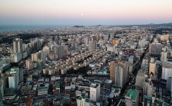 제주도, 상가 불법 주정차 단속 유예시간 변경