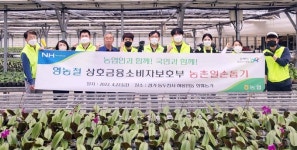 농협, 부서별 릴레이 농가 일손돕기 나서