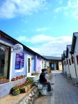 몽돌해변 갈까 아찔한 바다 위 걸어볼까… ‘화마’이긴 동해의 봄 [최현태 기자의 여행홀릭]
