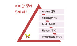 ‘프레그런스’란 용어 마뜩잖은 이유 [박영순의 커피 언어]