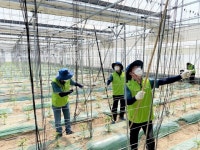농협경제지주, 영농철 농촌 일손돕기 실시