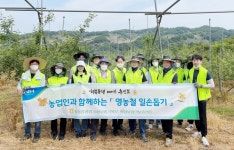 농신보 봉사단, 사과농가 적과작업 참여… 현장 의견 청취