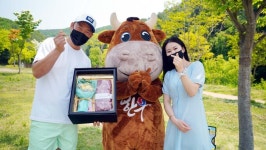 한우자조금, ‘하누랑 감사드림’ 온라인 이벤트 성료
